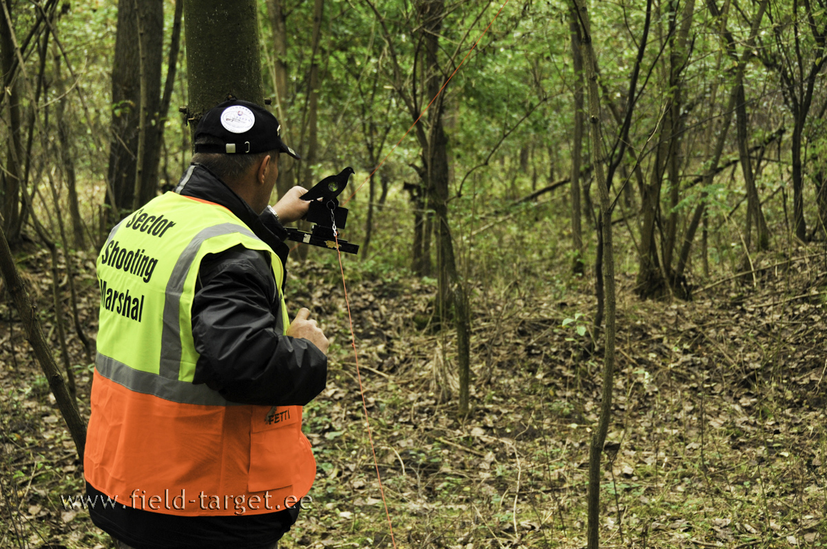 ... et tegemist on vigase märgiga